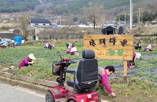 곡성삼태마을.jpg