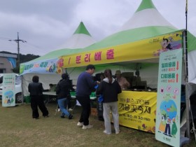 화순 고인돌축제, 일회용품 없는 친환경 축제 선도