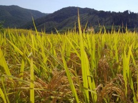 전남도, 함평 나비골팜등 친환경농업 기반 구축사업 전국 최대 83억 확보