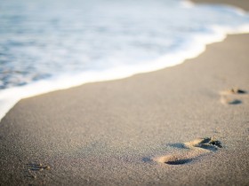 AI 농작업 기술 ‘첨단 무인자동화 농업생산 시범단지’ 조성