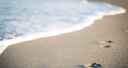 AI 농작업 기술 ‘첨단 무인자동화 농업생산 시범단지’ 조성