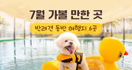 7월 가볼 만한 곳…반려견 동반 여행지 6곳