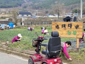 '전남 곡성 삼태마을' 2024년 전남 마을공동체 최우수상 선정