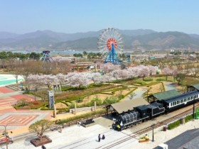 곡성군 코스모스, 영화제등 가을축제 함께 즐겨요