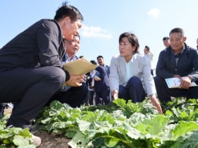 해남 방문한 송미령 농식품부 장관 "김장철 배추 걱정 없도록 작황 관리"