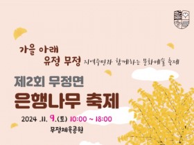 가을 풍경 물씬 담양군, 11월9일 무정면 은행나무 축제 개최