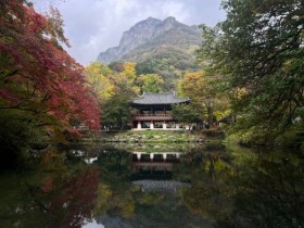 장성 백암산, 백양사 9~10일 단풍 절정