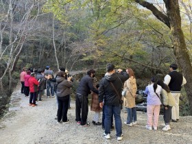 단풍과 노을여행…순천시티투어,  '가을빛 투어' 시작