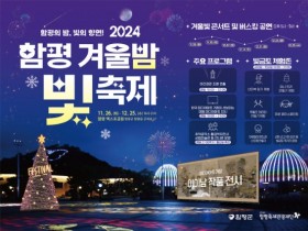 함평군 '2024 함평 겨울빛축제' 티맵으로 홍보