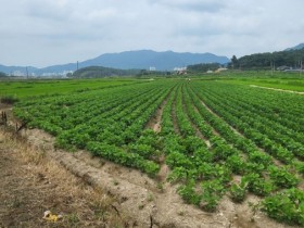 전남도, 전략작물 직불금 545억 확정