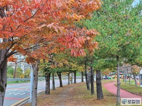 광주 도심속 단풍구경하기 좋은곳