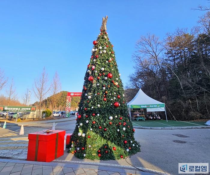 담양 메타프로방스 전남 산타축제 초대가수와 식빵공방 데이트 (2).jpg