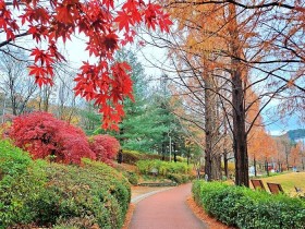 광주 남구 노대제 물빛근린공원, 도심 속 힐링 명소