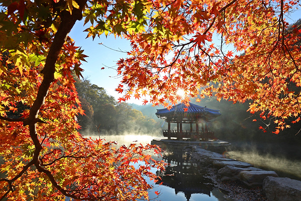 정읍 내장산.jpg