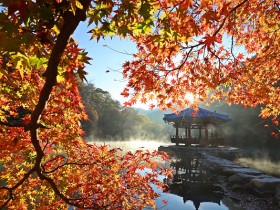 정읍 내장산국립공원, ‘한국 관광 100선’ 선정…6회 연속