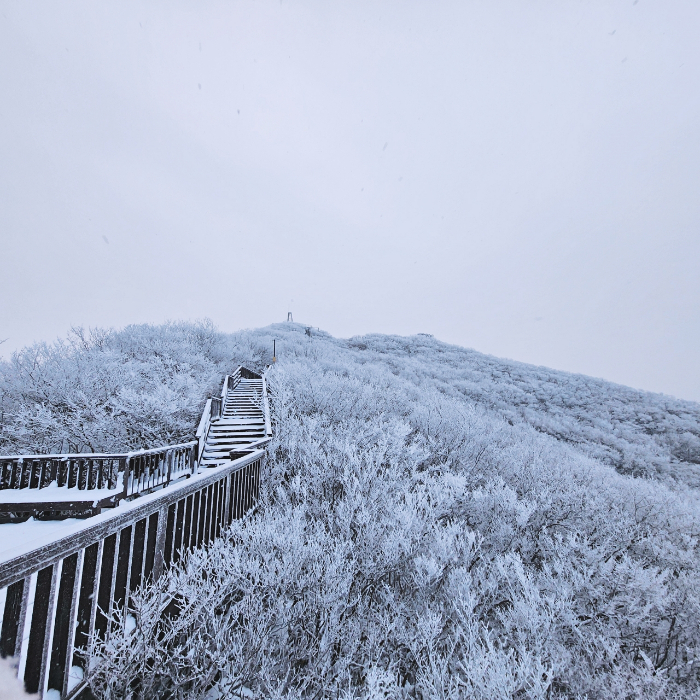 6-두륜산 눈꽃세상(두륜산 케이블카 제공) (3).jpg