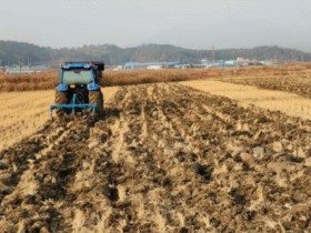 전남도, 논 말리기 등 왕우렁이 월동피해 최소화 추진