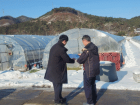 장성군, 농작물 한파 피해 최소화…현장기술지원 실시