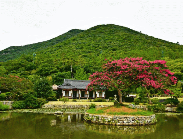 전남 진도 운림산방.jpg