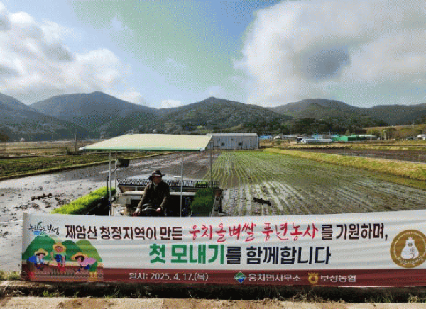보성 모내기 시작.jpg