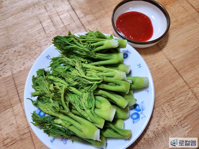 산두릅과 땅두릅 차이, 영양과 요리법 봄 건강 (4).jpg