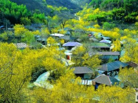 산림청, 전문가 컨설팅으로 산촌에 활력 불어넣는다.