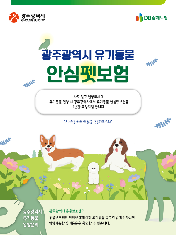 포스터_광주시 유기동물안심펫보험.jpg