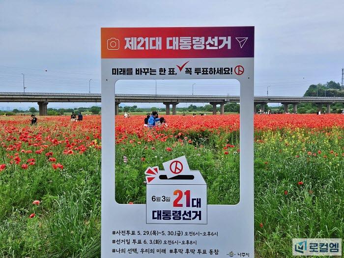나주여행 영산강 체육공원 꽃양귀비 만개 (1).jpg