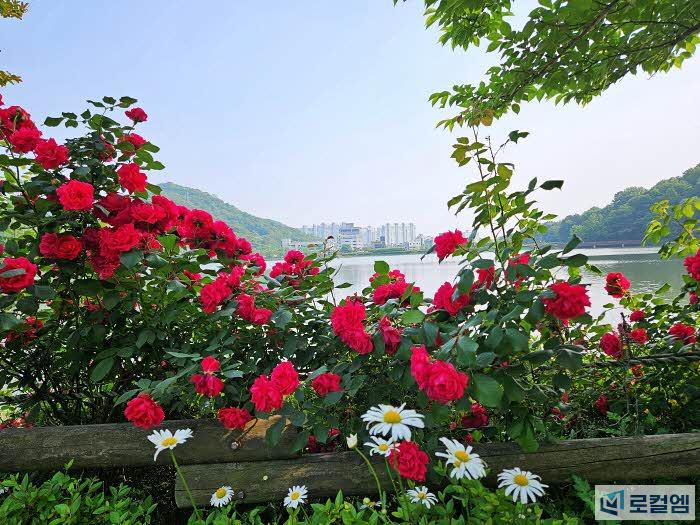 광주 풍암호수공원 (4).jpg
