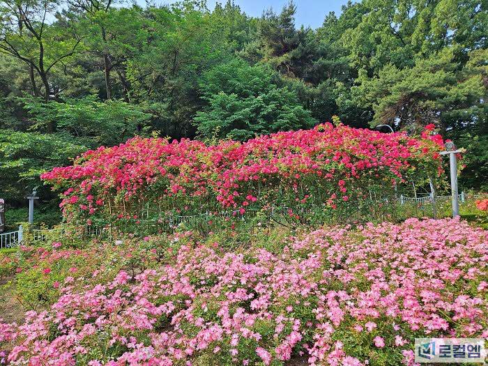 광주 풍암호수공원 (3).jpg