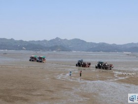 [로컬여행]고창 하전바지락 축제, 갯벌 체험·장어잡기·트랙터 퍼레이드 총정리