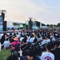 '국카스텐’,  ‘카더가든’ 온다… 장성 황룡강서 10~11일 꽃길축제