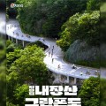 2025 정읍 내장산 그란폰도·메디오폰도 개최