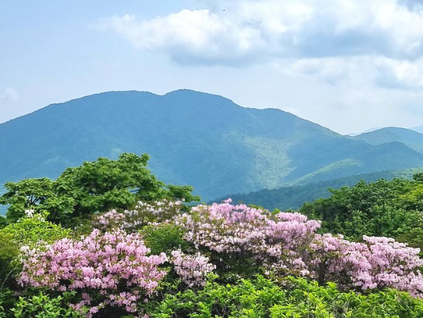 지리산노고단6.jpg