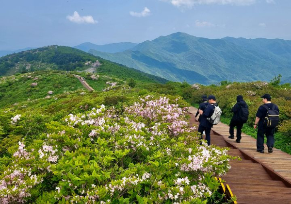 지리산노고단3.jpg