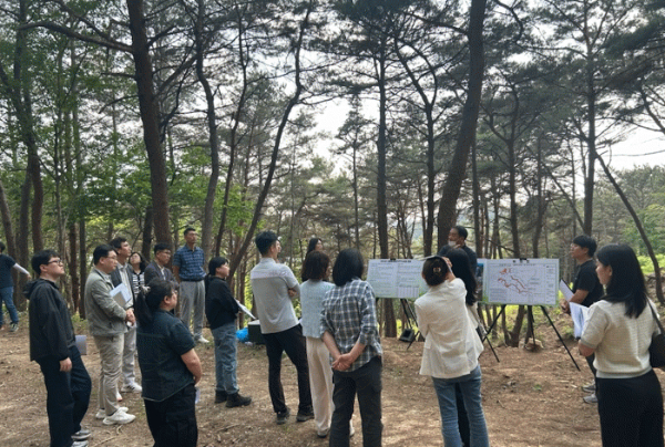 전남도 산불에 강한 숲.jpg