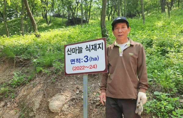 전남 산마늘.jpg