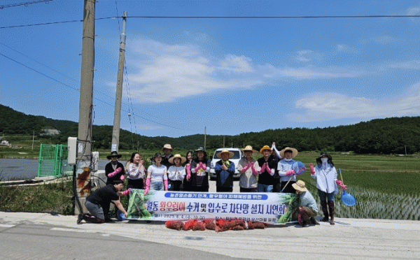 고흥군 왕우렁이.jpg