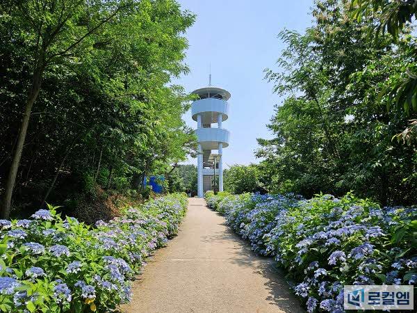 나주 느러지전망대 (3).jpg