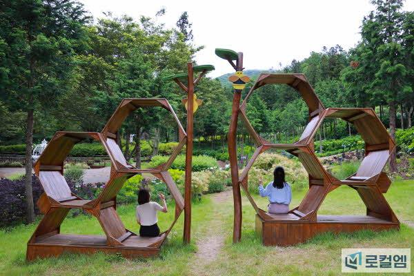 보성 윤제림 수국 (2).jpg
