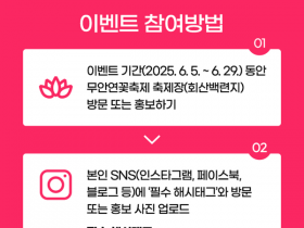 무안군, 제28회 무안연꽃축제와 SNS 인증 이벤트