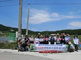 고흥군, ‘왕우렁이’ 수거 및 차단망 설치로 피해 최소화 총력