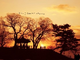 노을·캠핑·야경 명소, 전북 익산 웅포 곰개나루 관광지로 주목