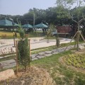 대동팽나무숲·월산사 일대…함평 실외 정원 조성 완료