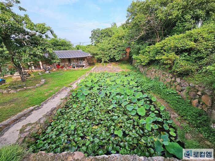 전남 영광 매간당 고택과 수국동산, 여름 여행지로 추천 (16).jpg
