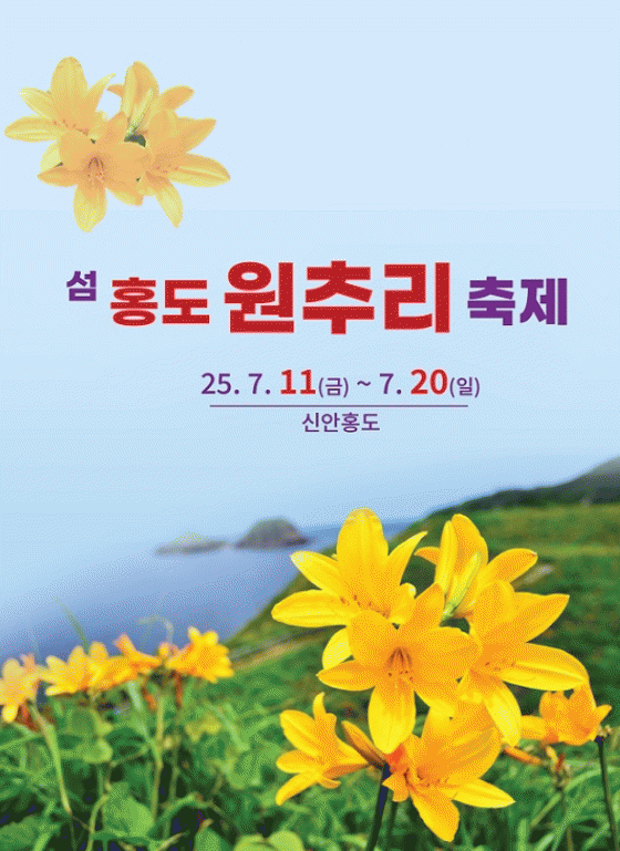 신안 홍도 원추리 축제.jpg