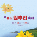 수십만 송이 활짝, 신안 섬 홍도 원추리 축제 11일 개최