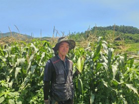 전남도, 7월 친환경농산물에 순천 ‘유기농 옥수수’ 선정