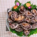 "복날엔 전복" 완도군, 전복 30% 할인 마케팅