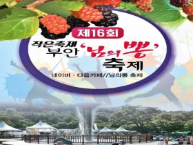 '제16회 님의 뽕 축제'…부안댐 분수광장서 내달 1~3일 개최